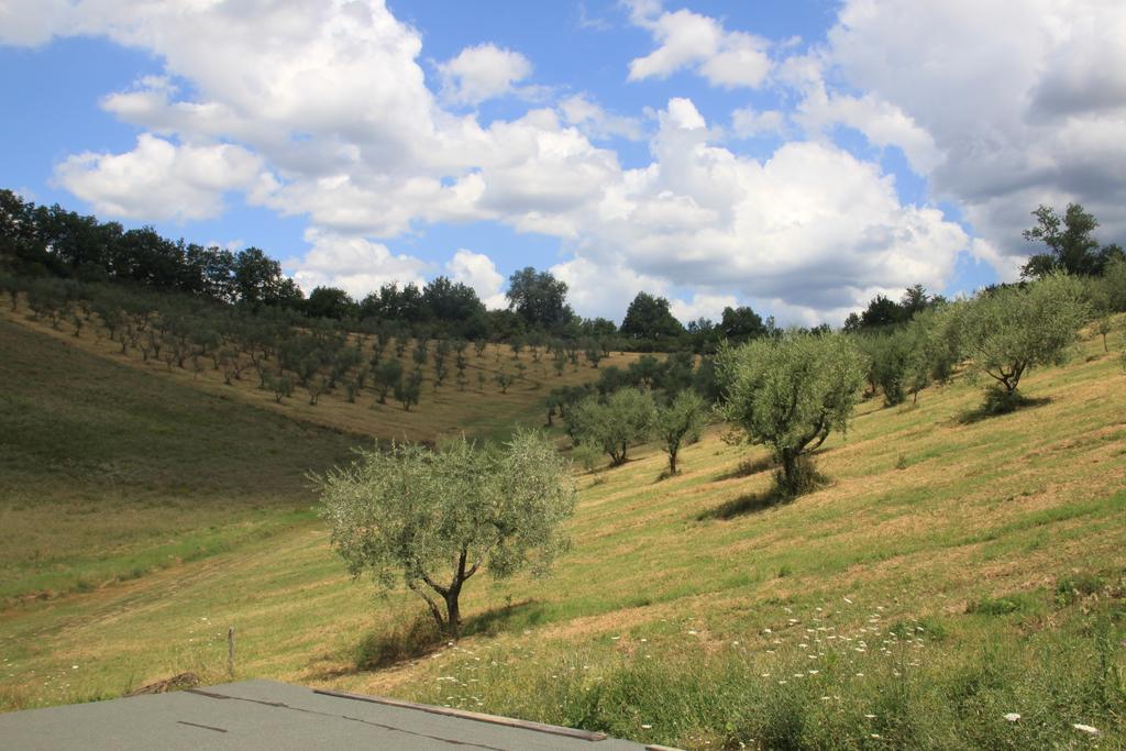רג'לו Agriturismo Le Buche Di Viesca מראה חיצוני תמונה